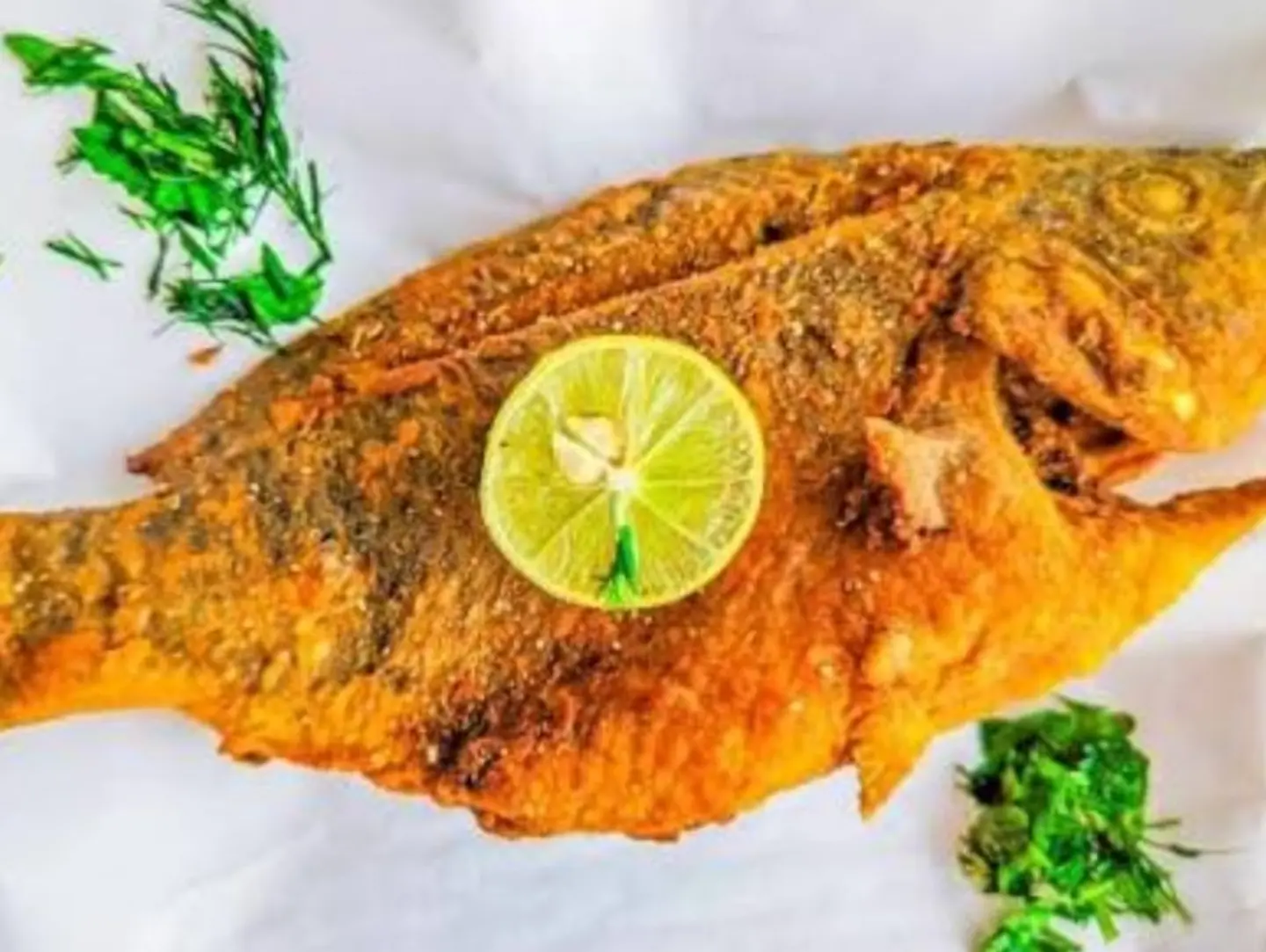 وجبه بلطي مقلي