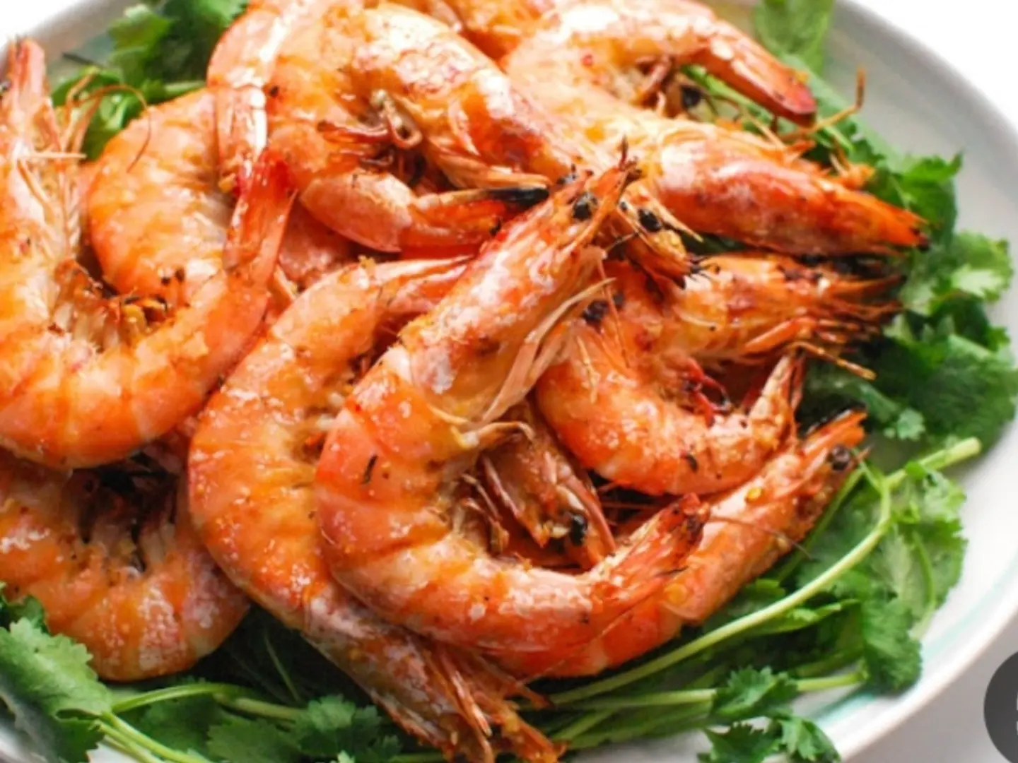 جمنبري مشوي بالخلطه