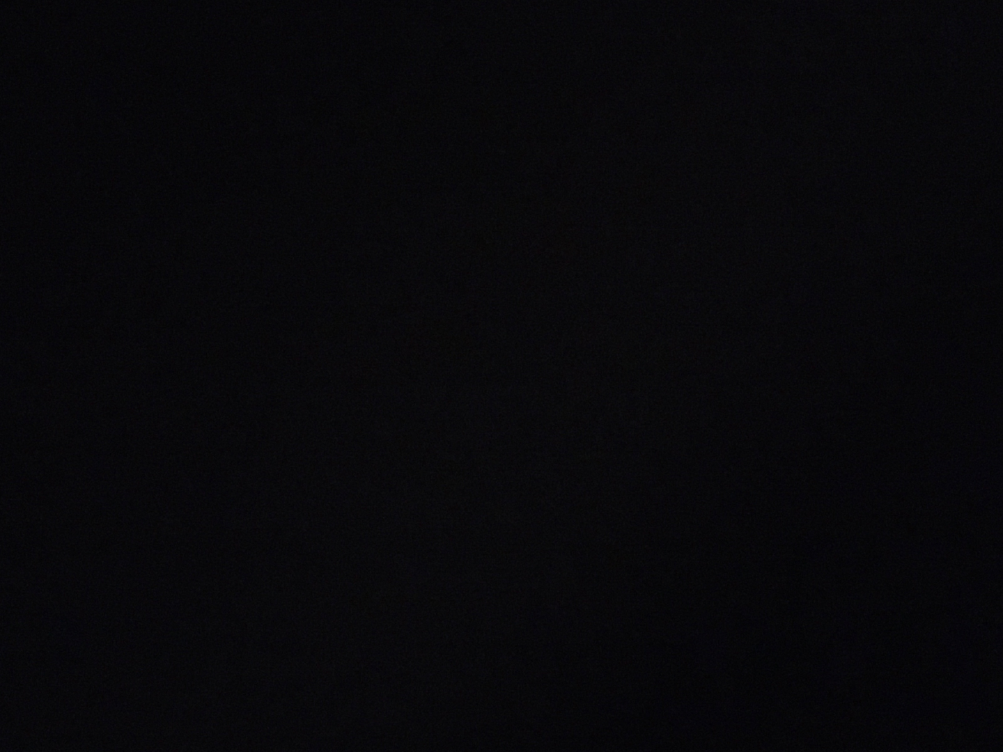 Middle Vegetable Pizza