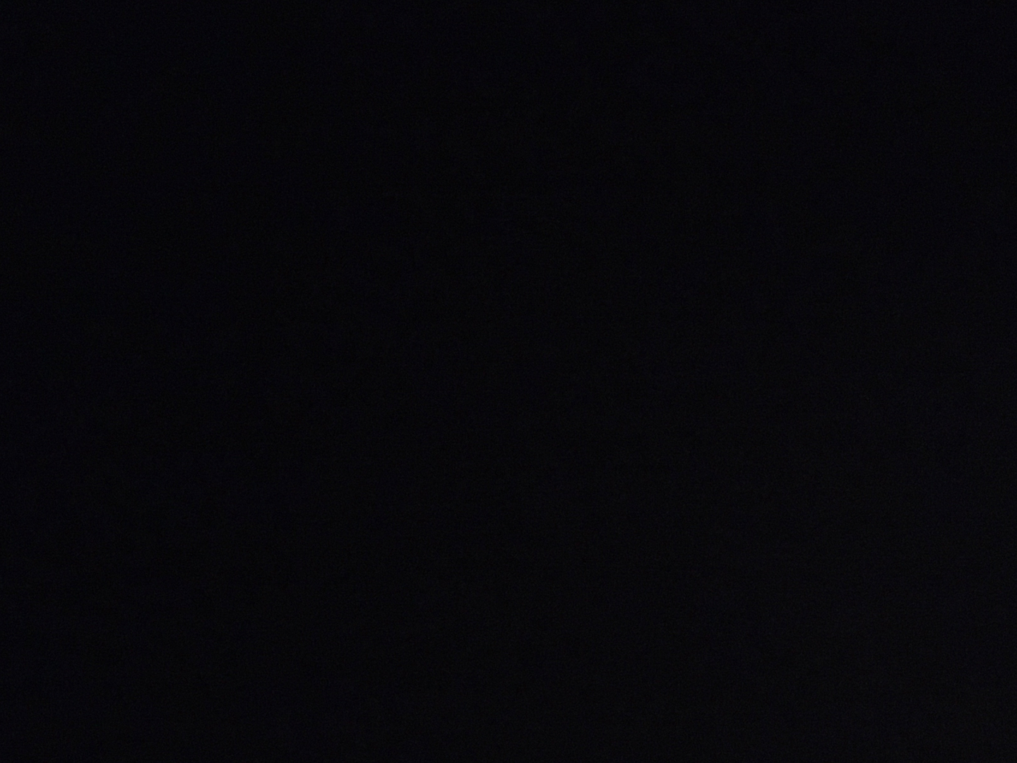 Large Vegetable Pizza