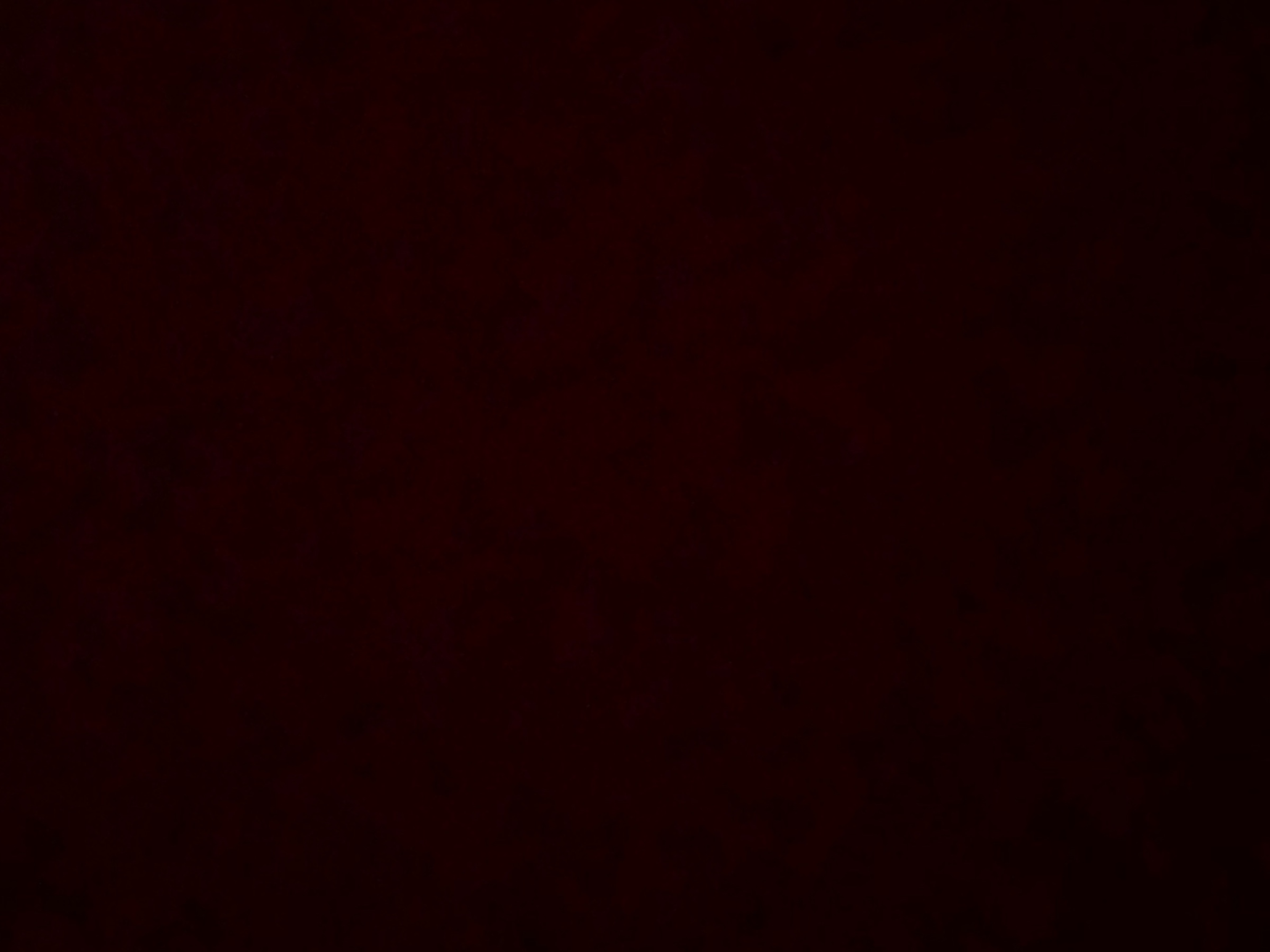 Middle Falafel Pizza