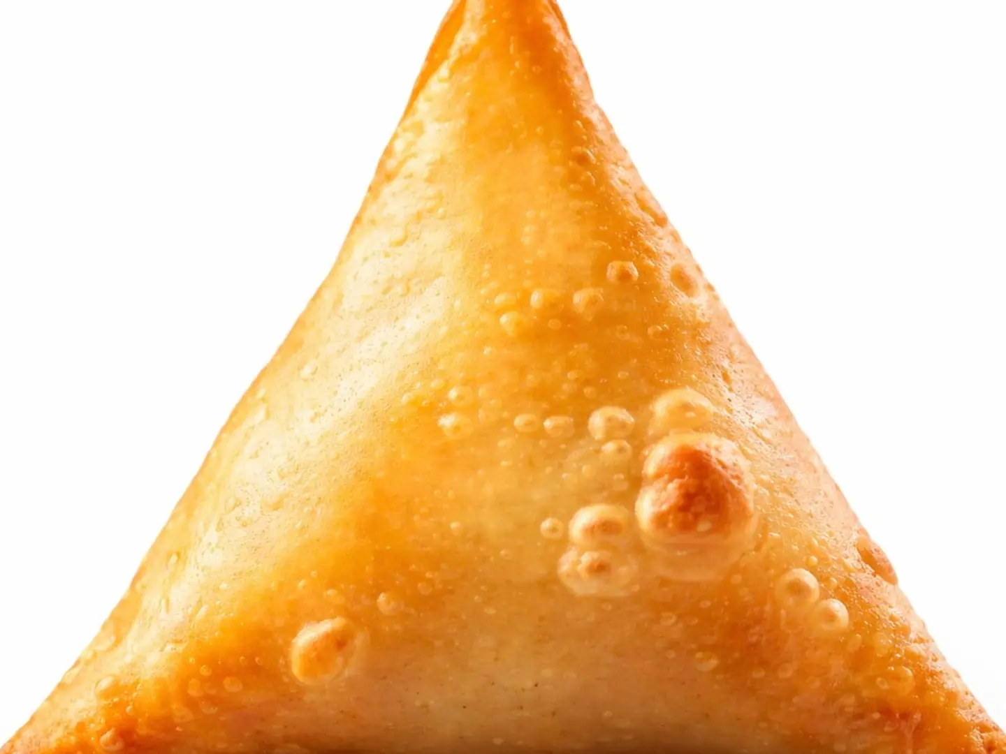 Meat Samosa