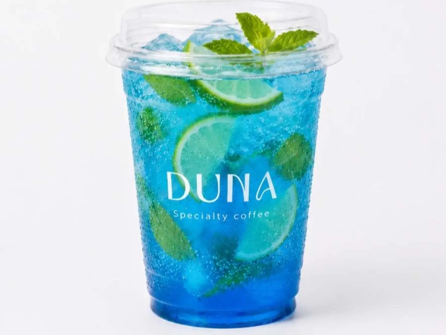 Blueberry Mojito