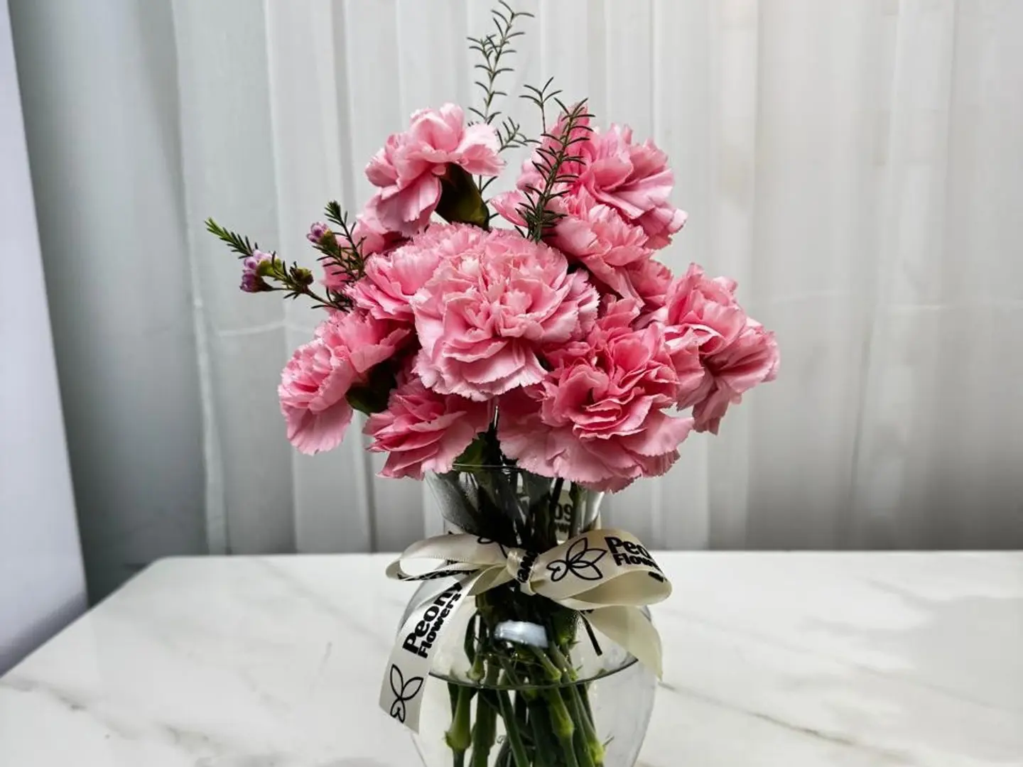 Carnation Flower