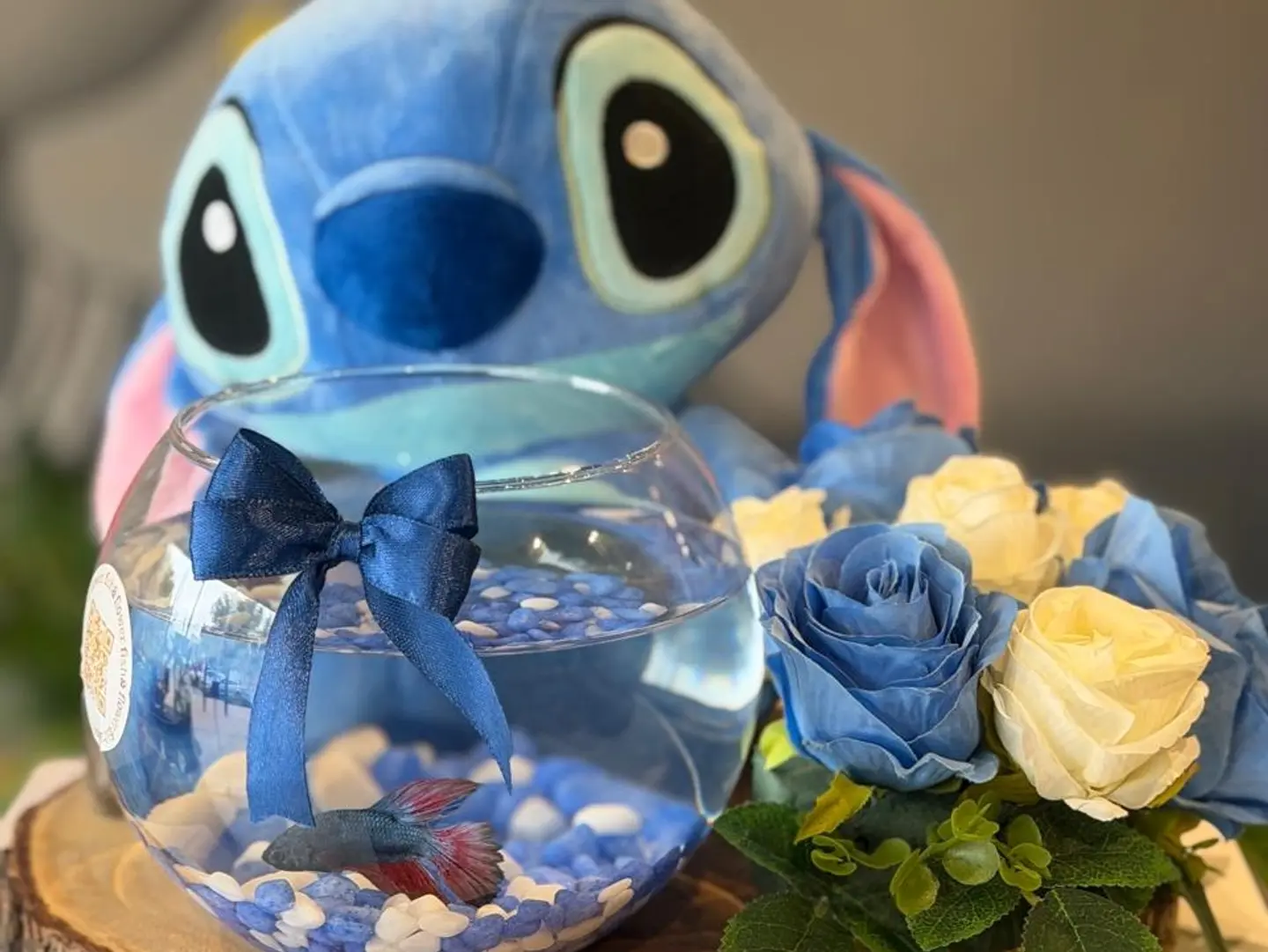 Stitch, The Betta's Friend