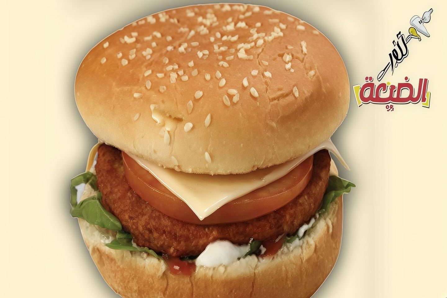 Vegetables Burger