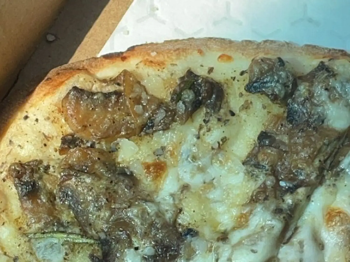 Truffle Mushroom