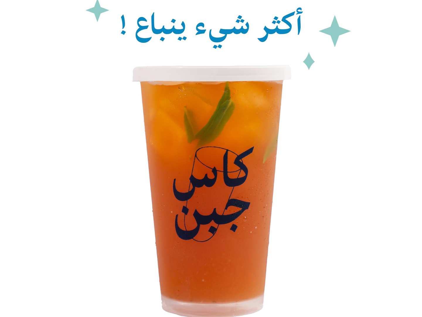 ايس تي حبق
