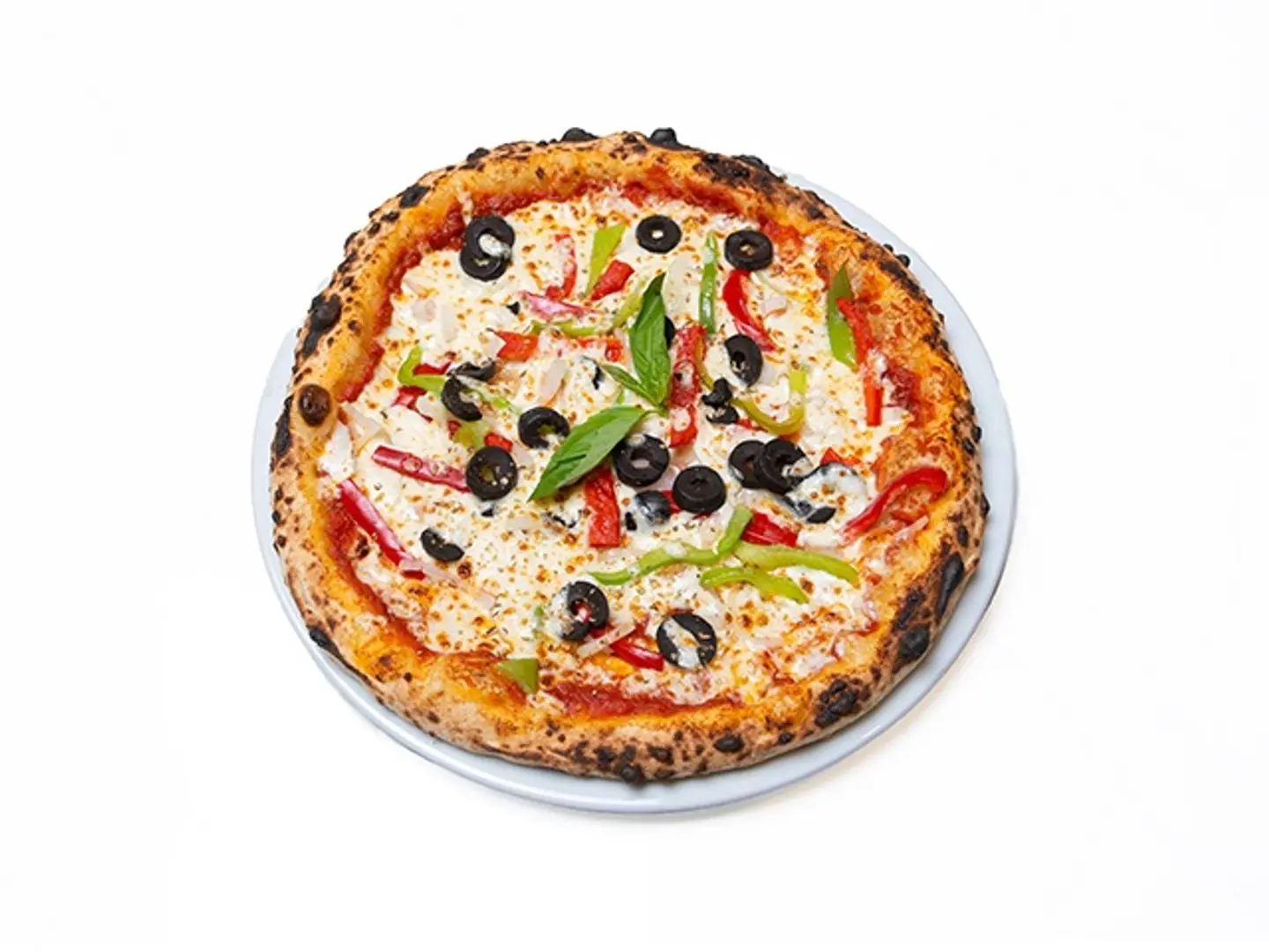 Vegetable Pizza