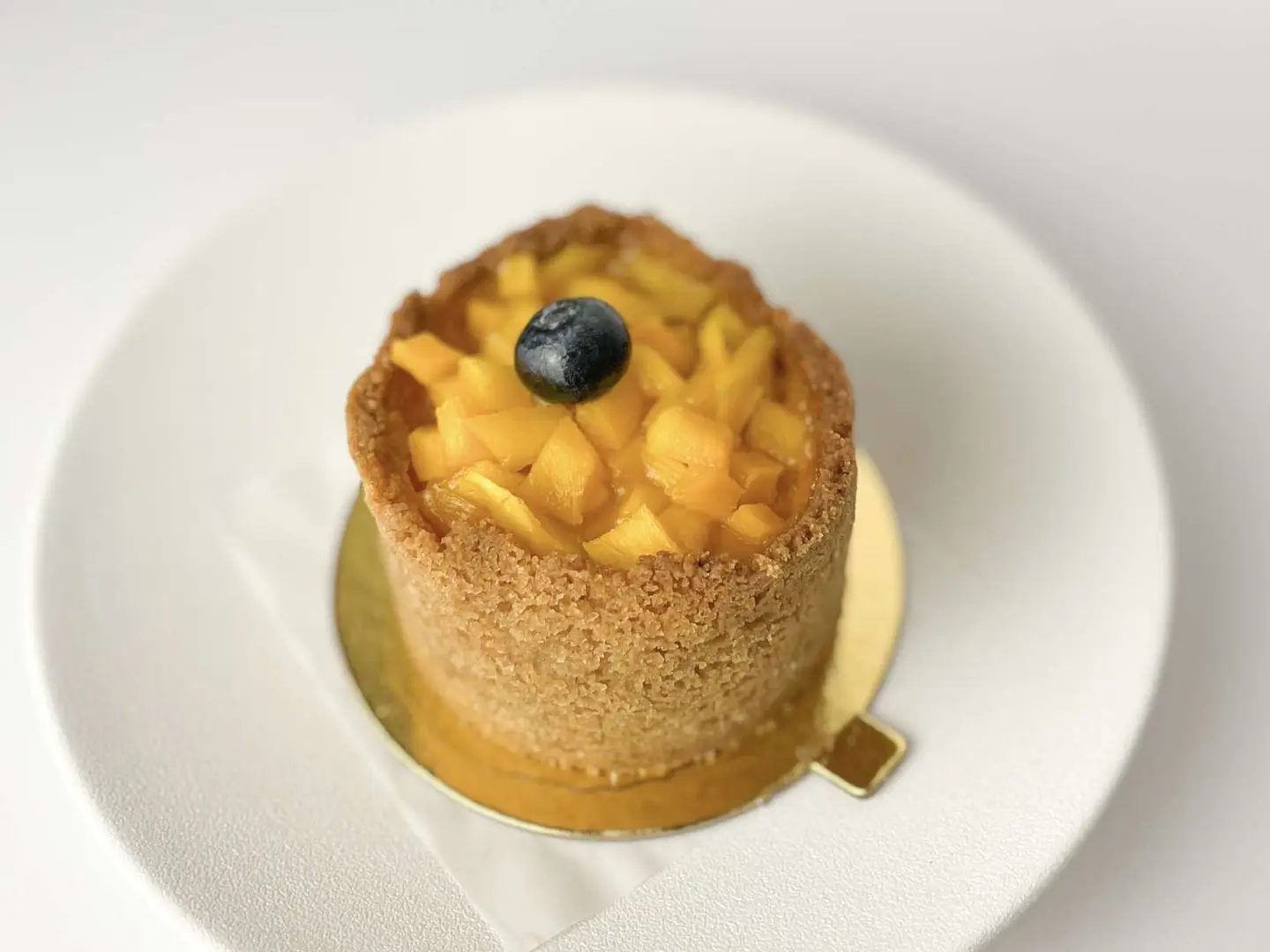 Mango Cheesecake