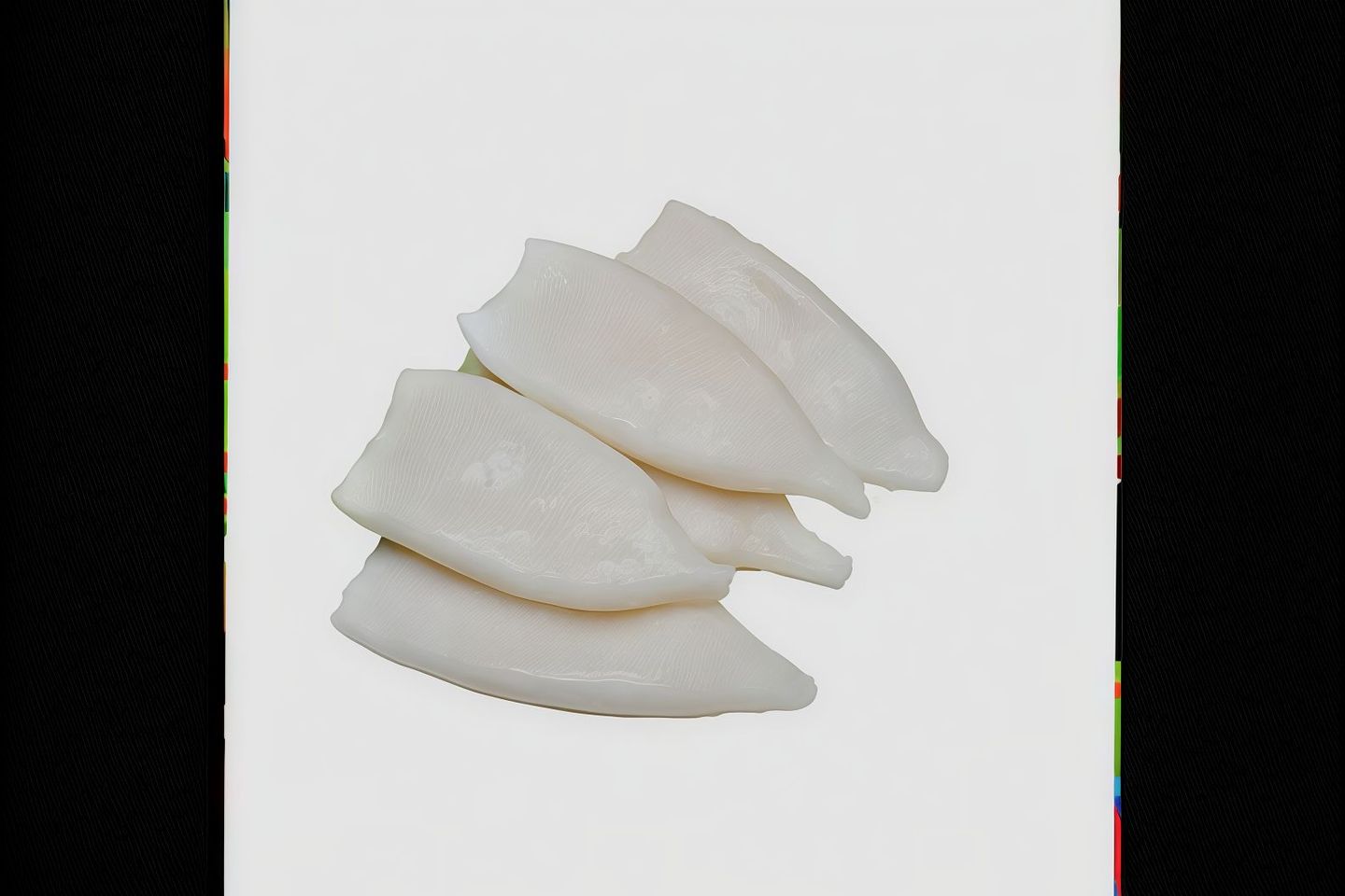 Squid