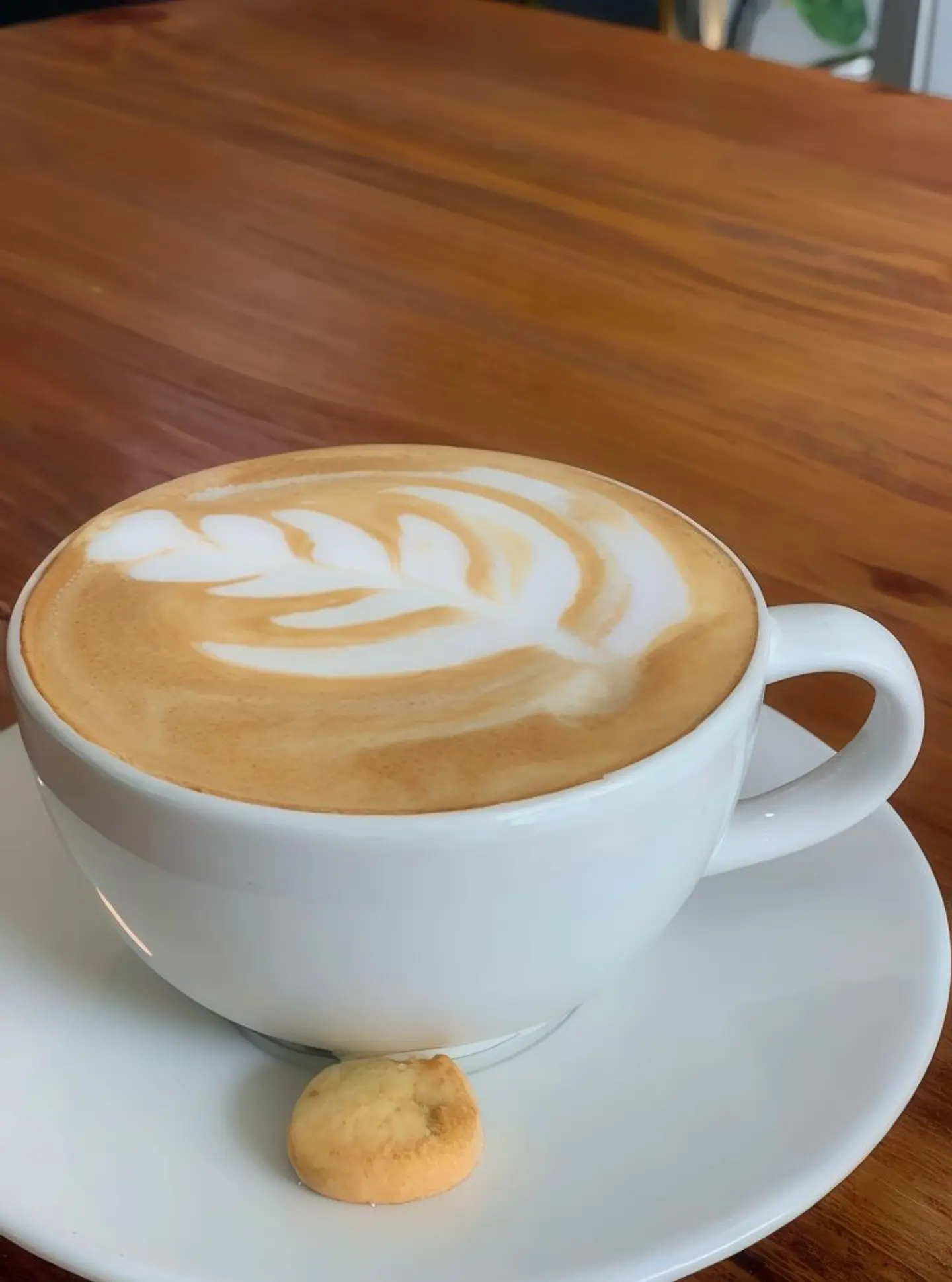 Flat White