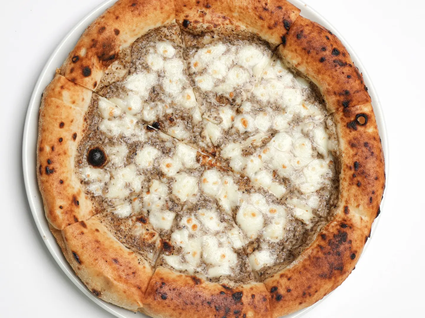 بيتزا ترافل