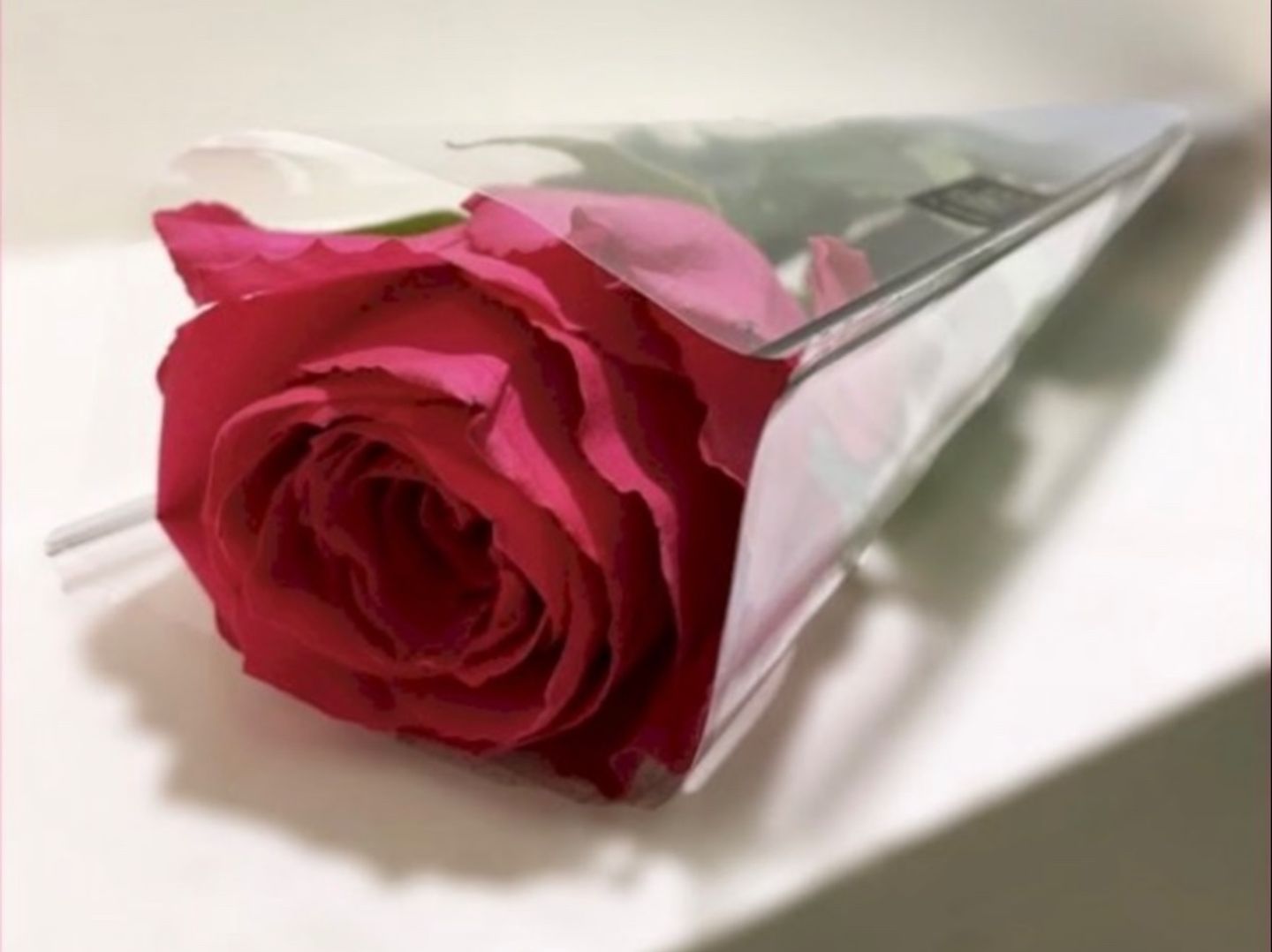 Fushi Rose