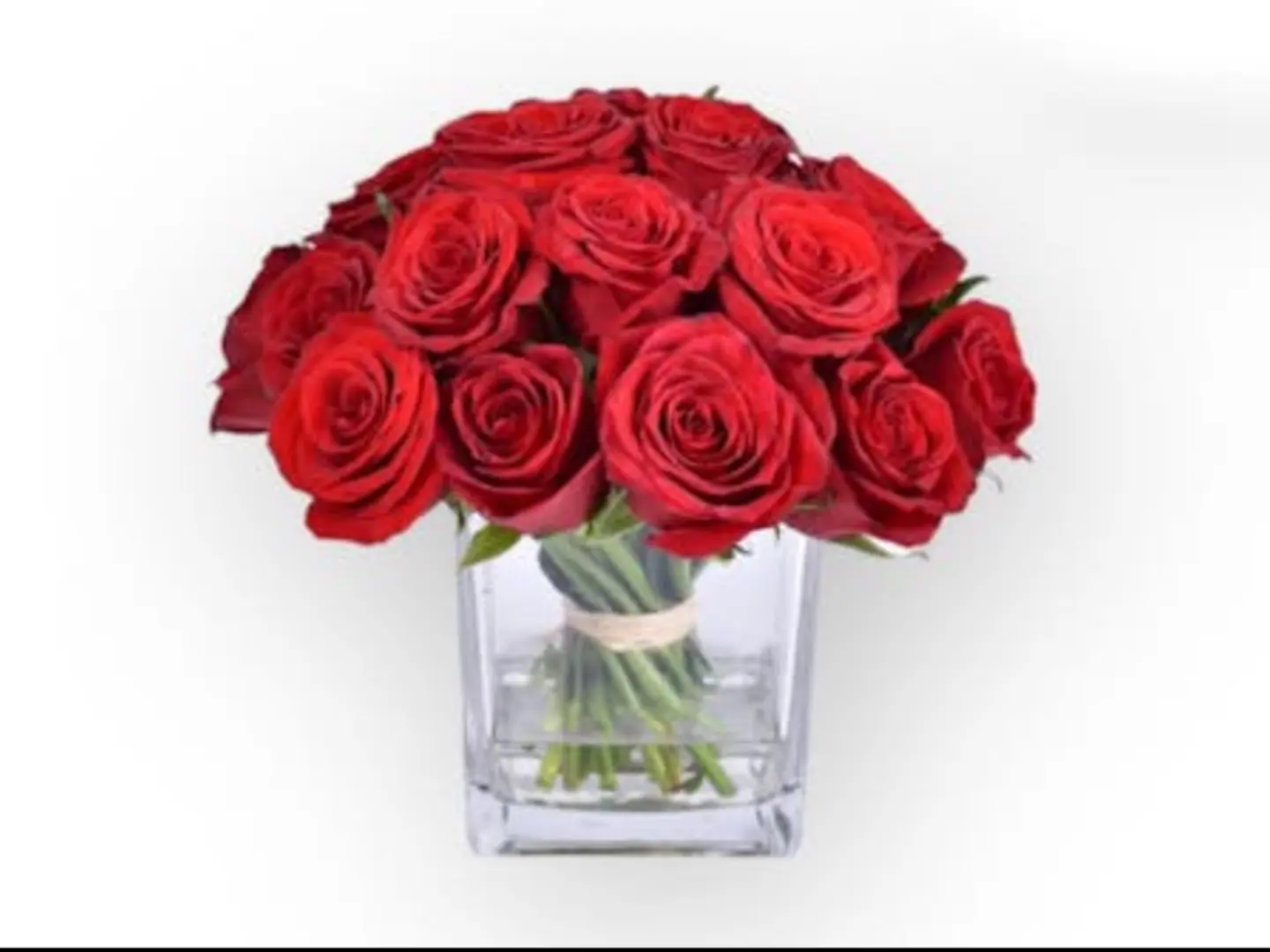 مزهرية زهرة حمراء