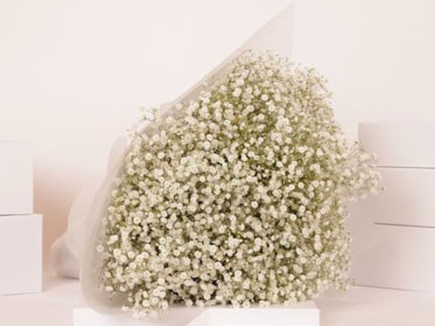 Gypsophila Bouquet White
