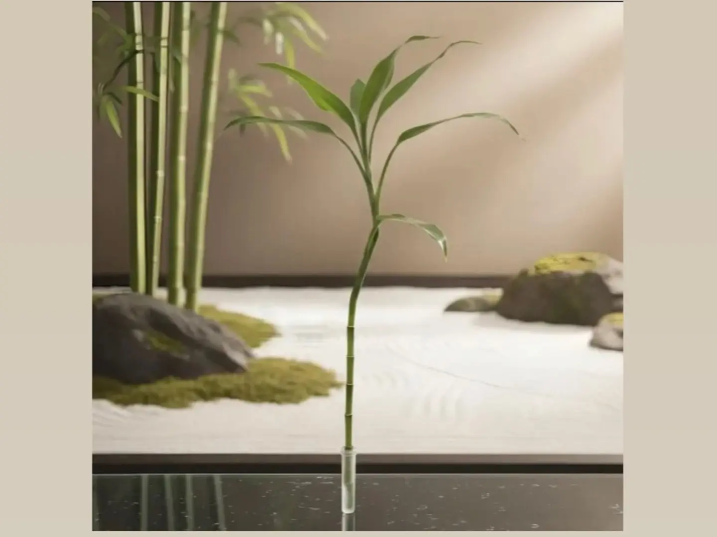 Signale Bamboo Plants