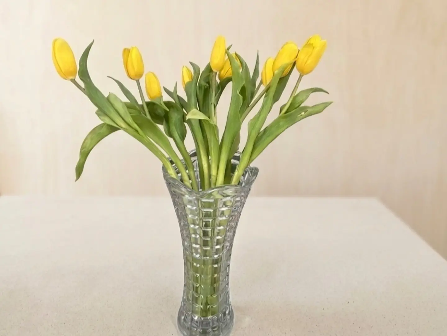 مزهرية التوليب الصفراء