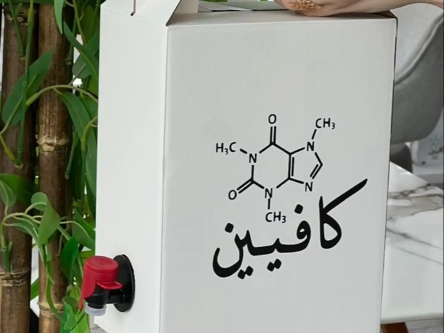 بوكس هوت شوكلت