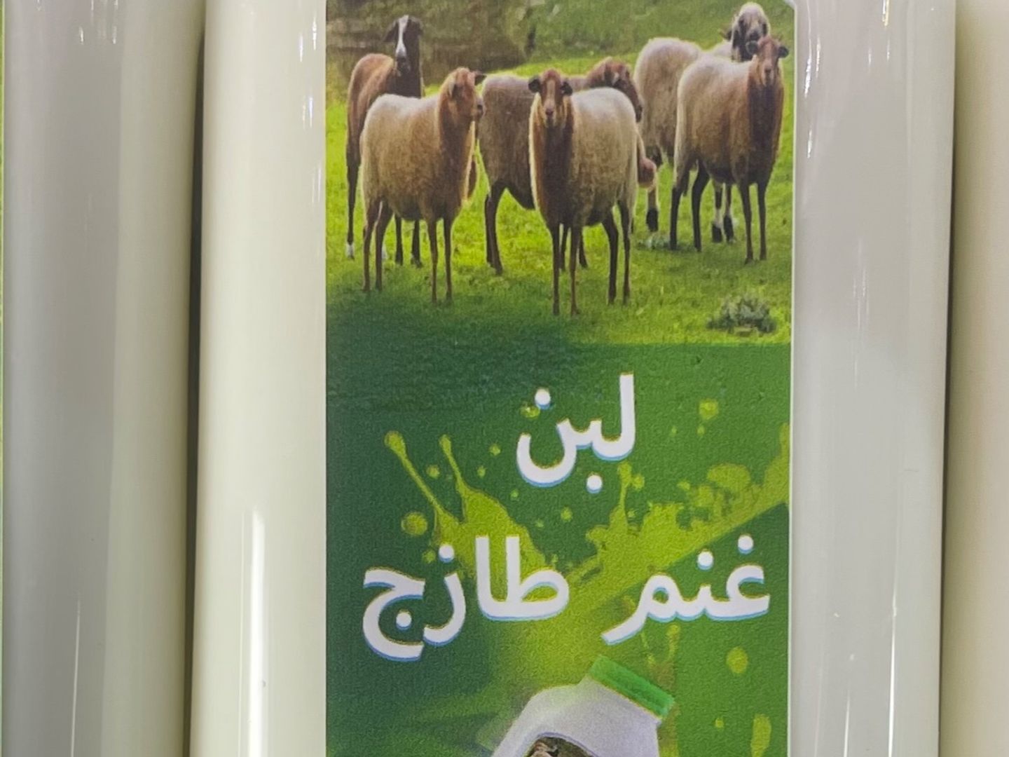 لبن غنم 1لتر طازج يومياً
