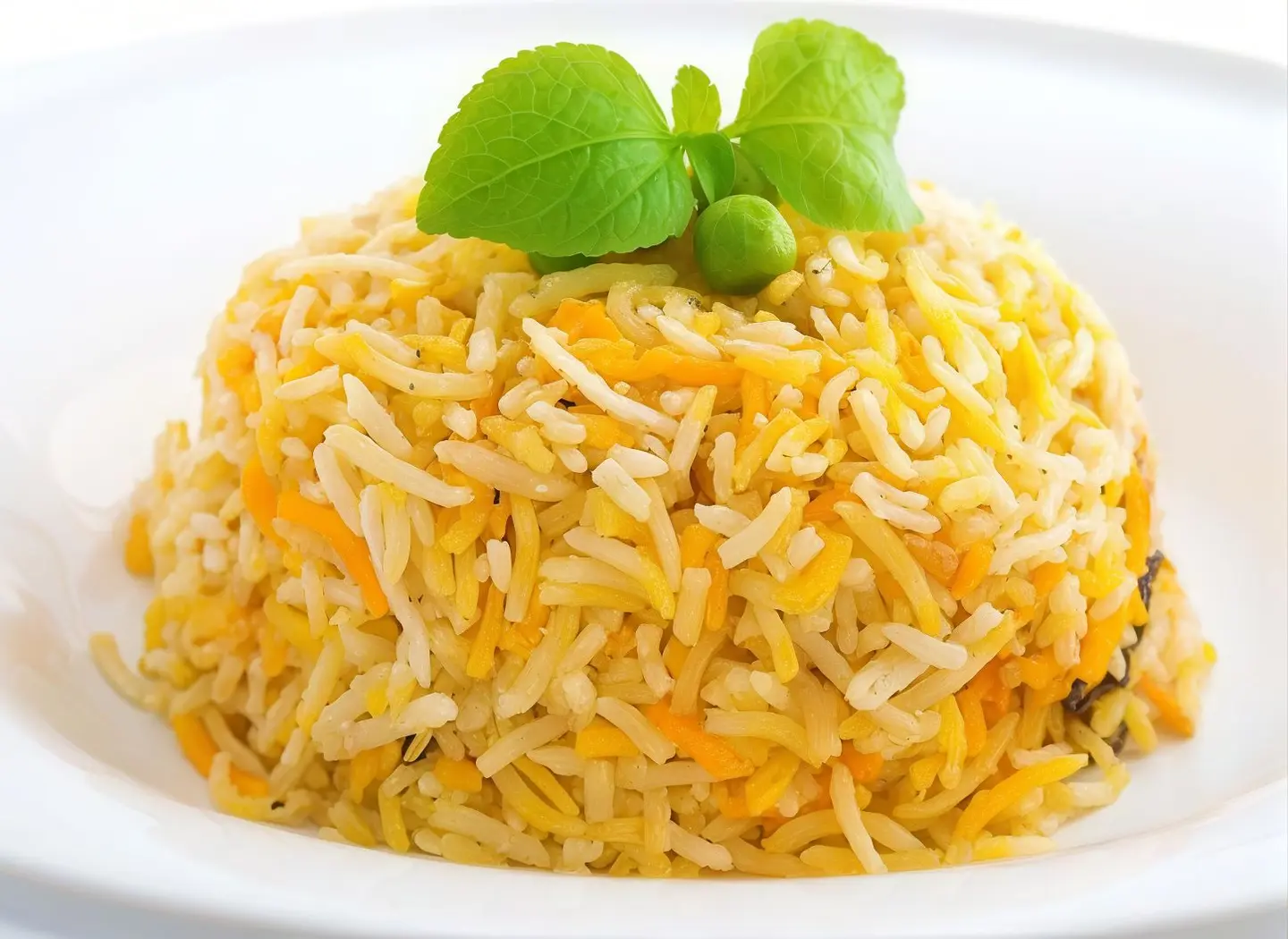 نص نفر رز برياني