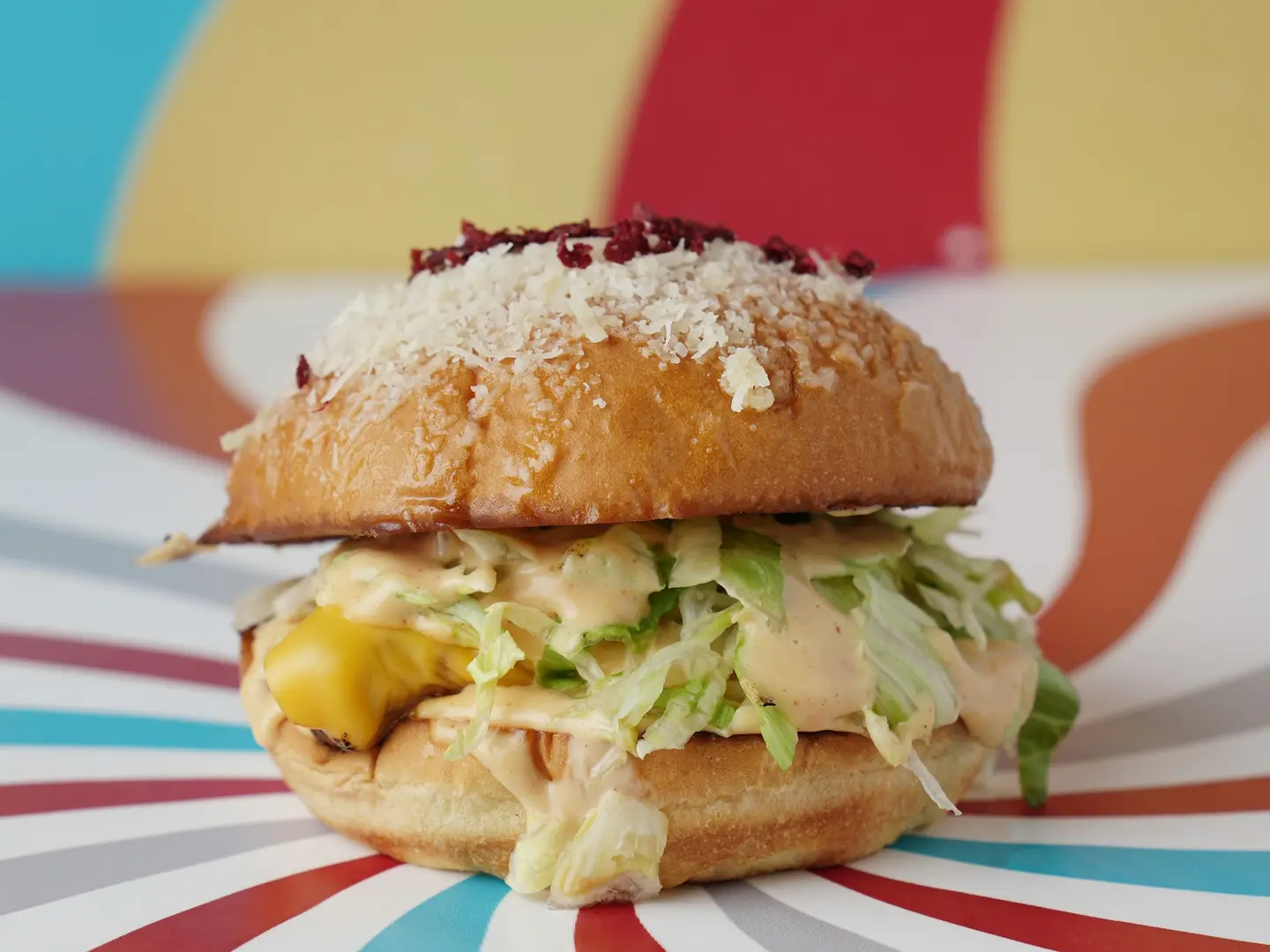 Chicken Burger Cable