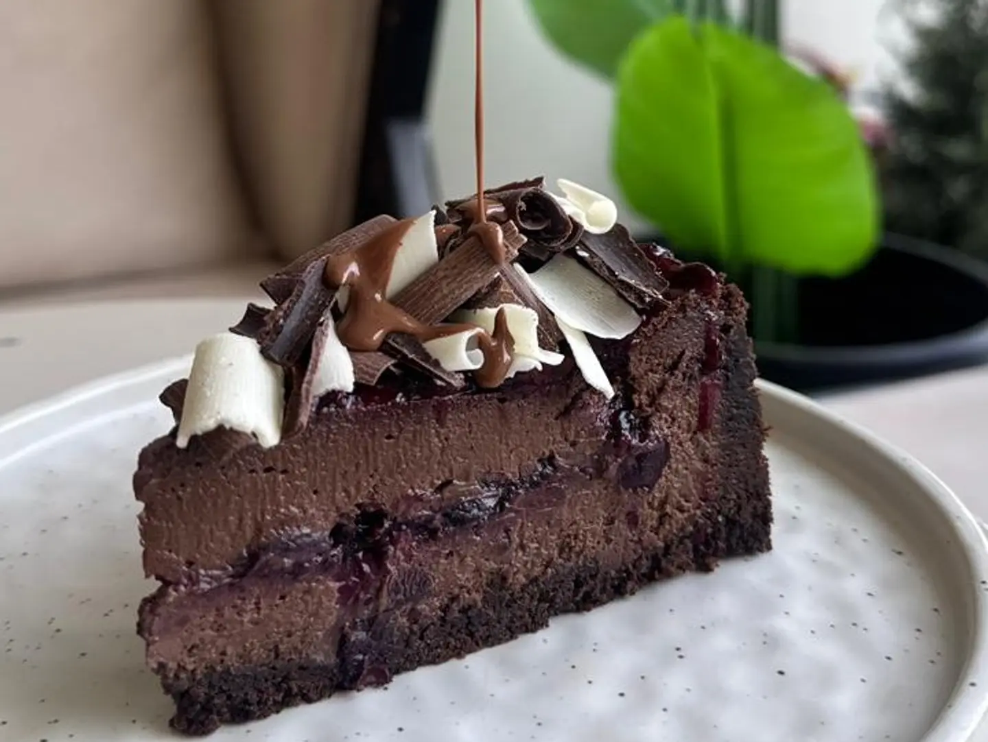 تشيز بلاك فورست