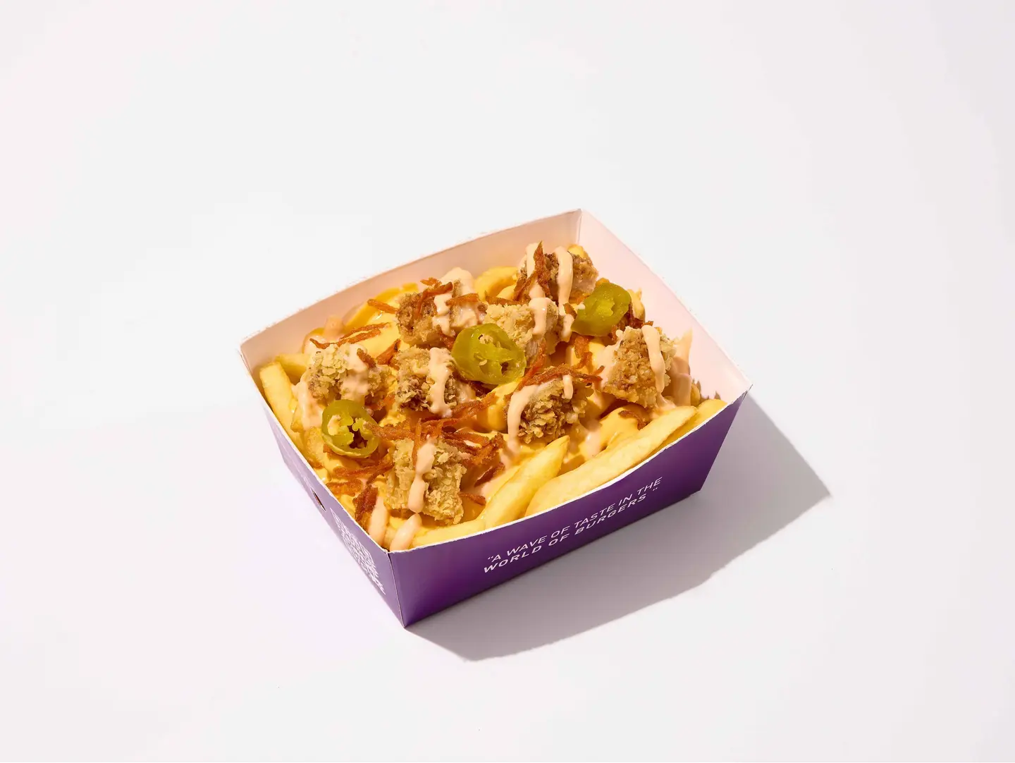 Chicken Cheese Fries