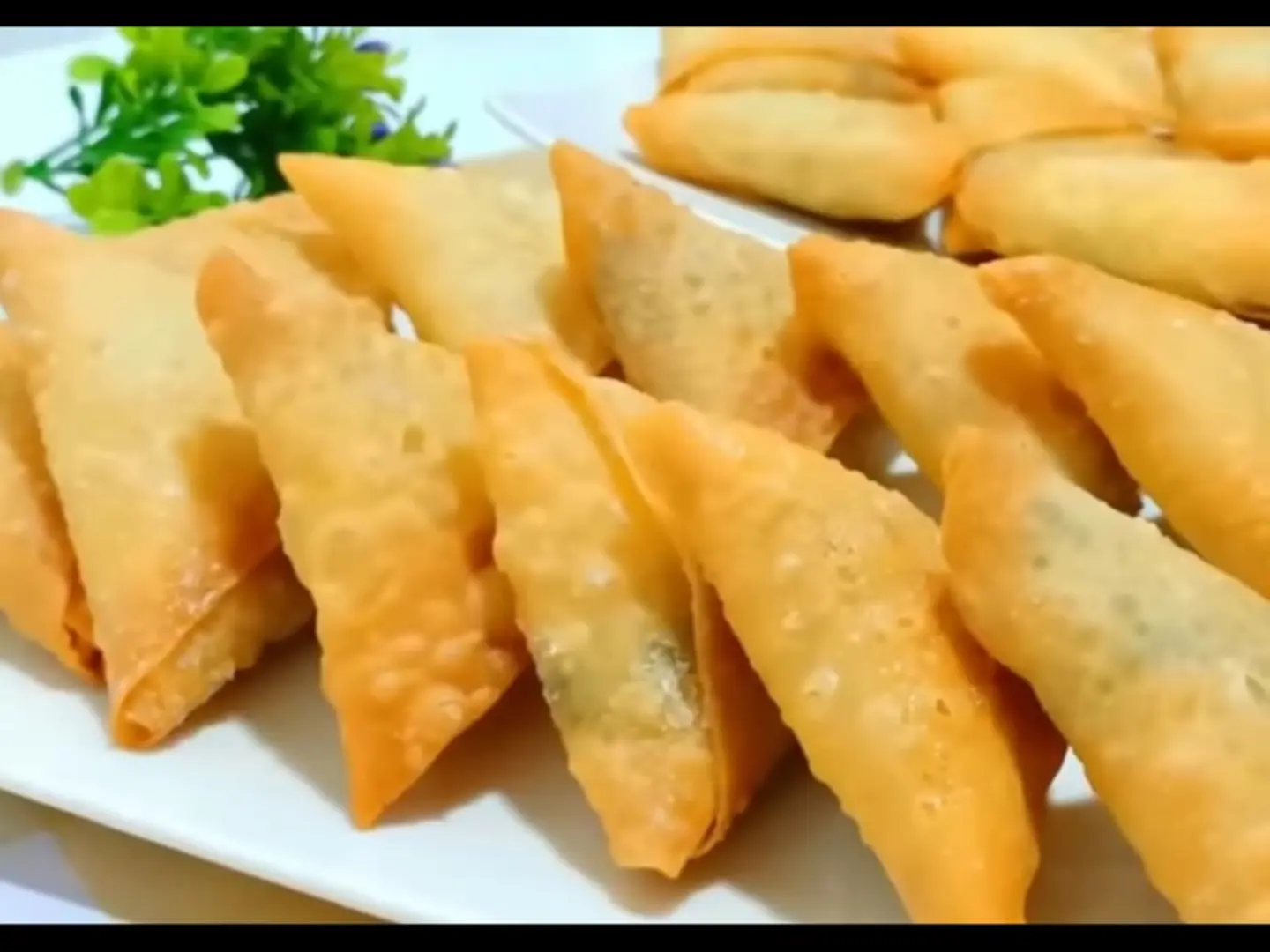 Cheese Samosa