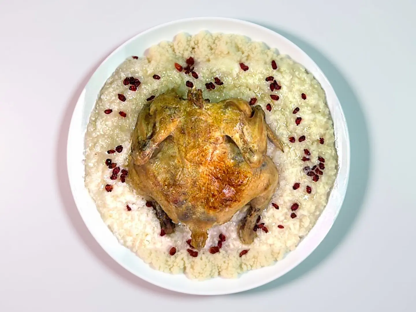 حبة دجاج سليق