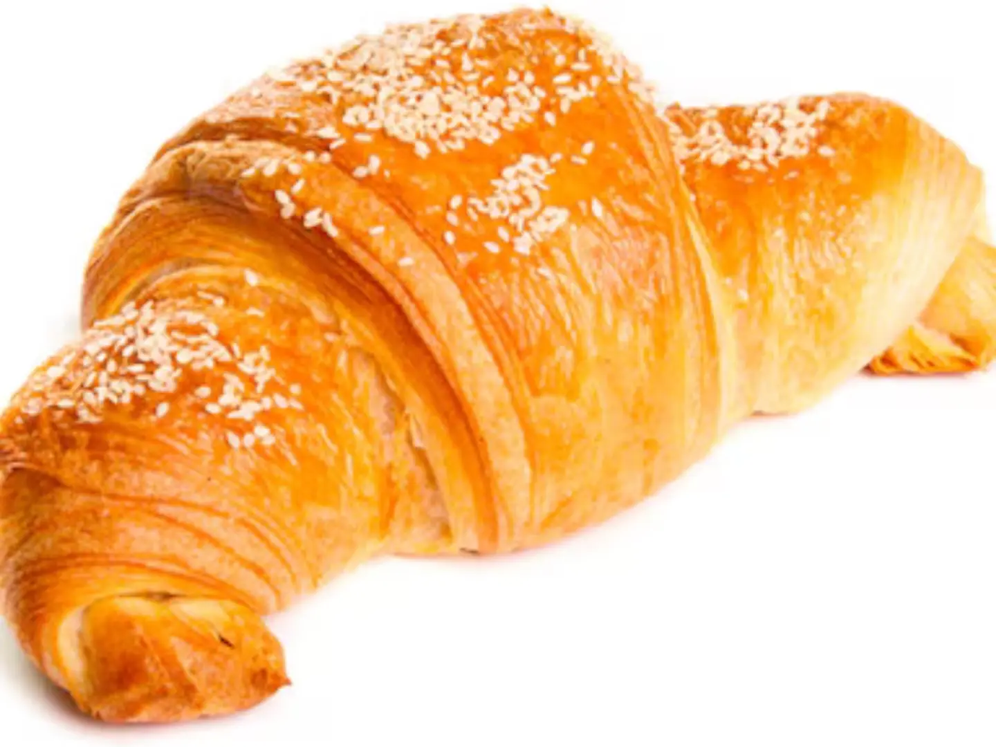 كورسان جبنة مالحة