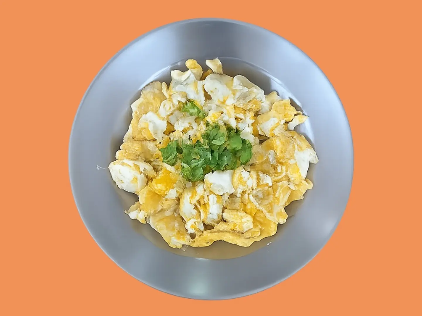 Egg Plate