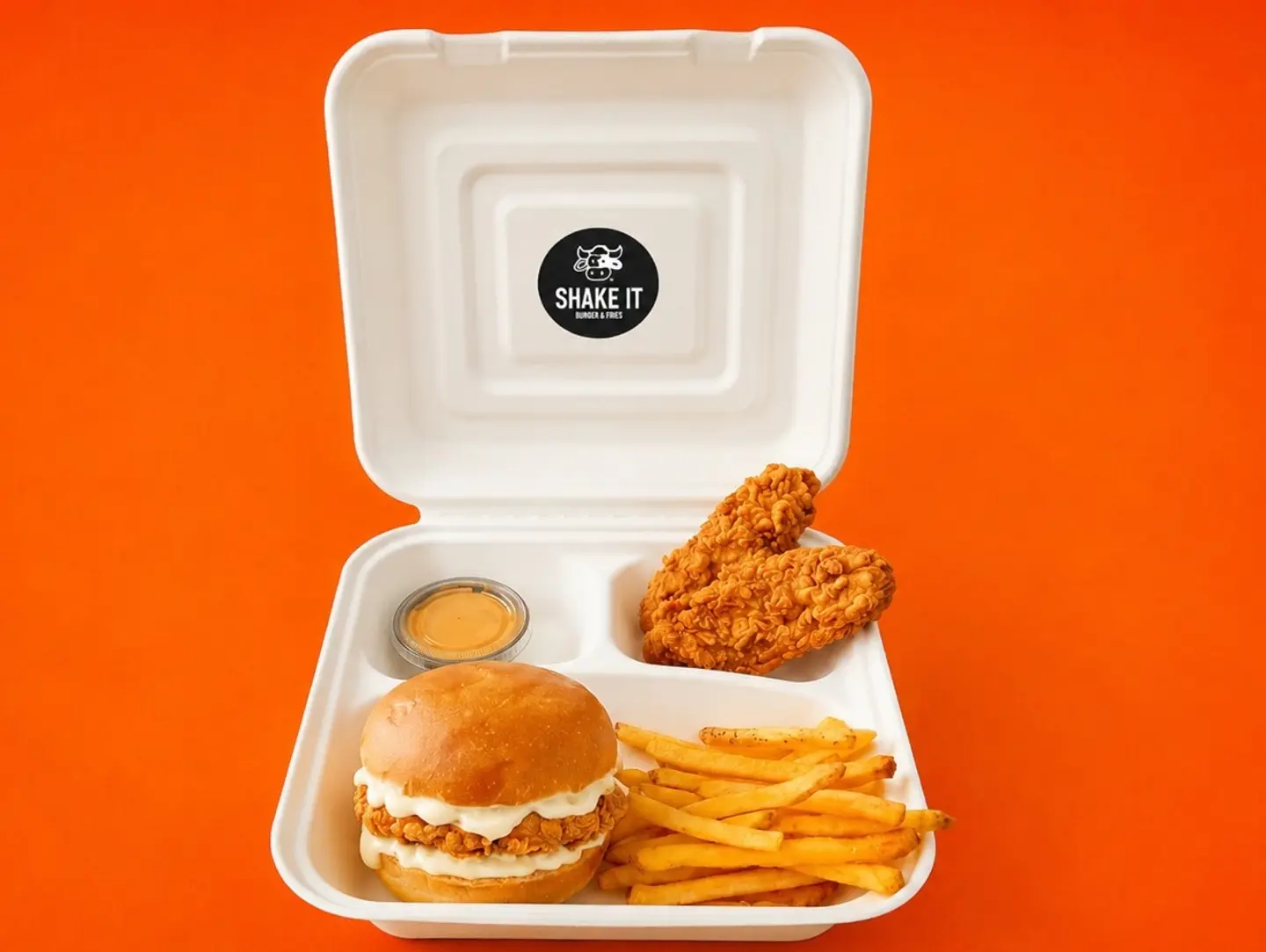 Solo Junior Crispy Chicken Box