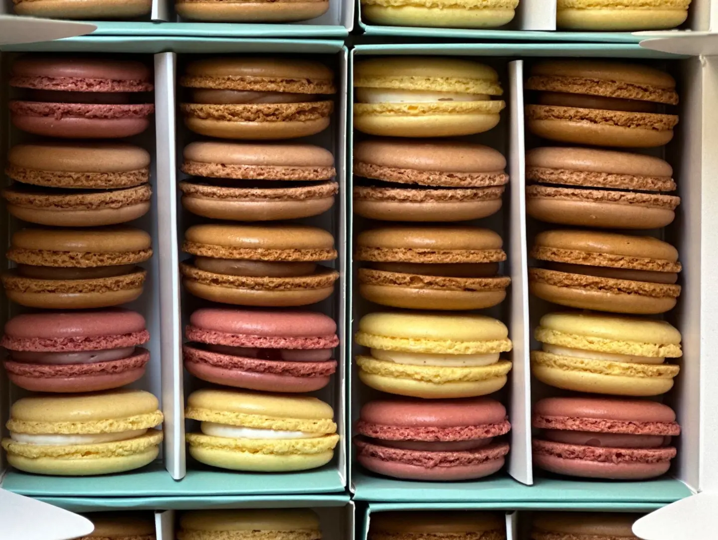 Macaron