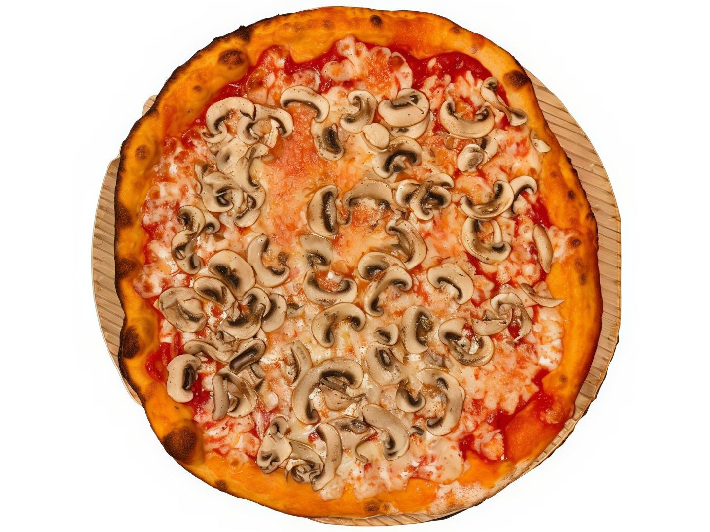 Pizza Funghi