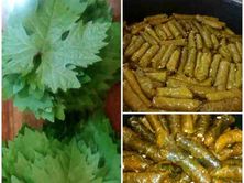 محشى ورق عنب وسط