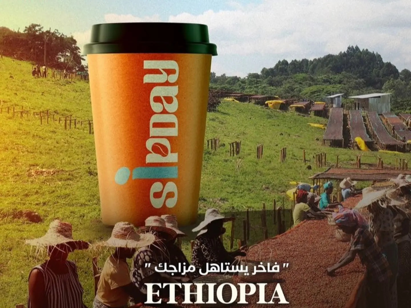 ‏ شوكولاتة