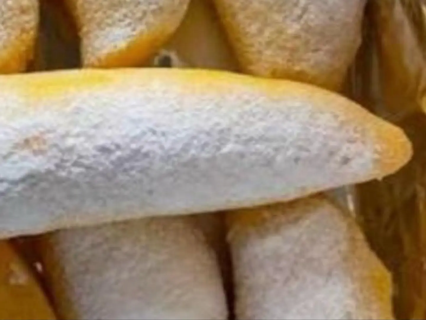 كباجي - سادة