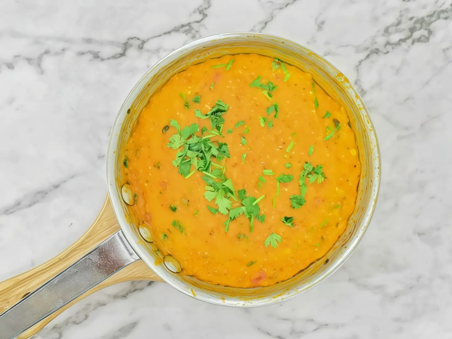 Adani Lentils