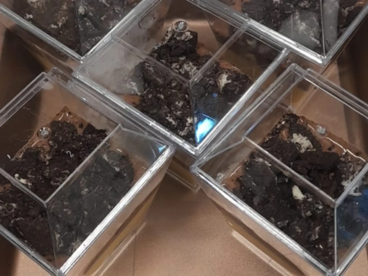 حلى الاوريو