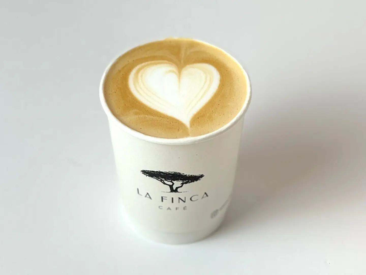 سبانيش لاتيه