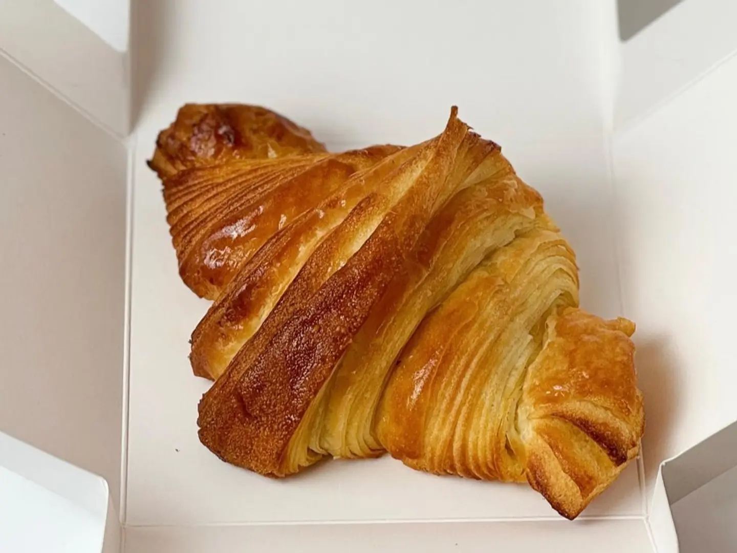 كرواسون سادة