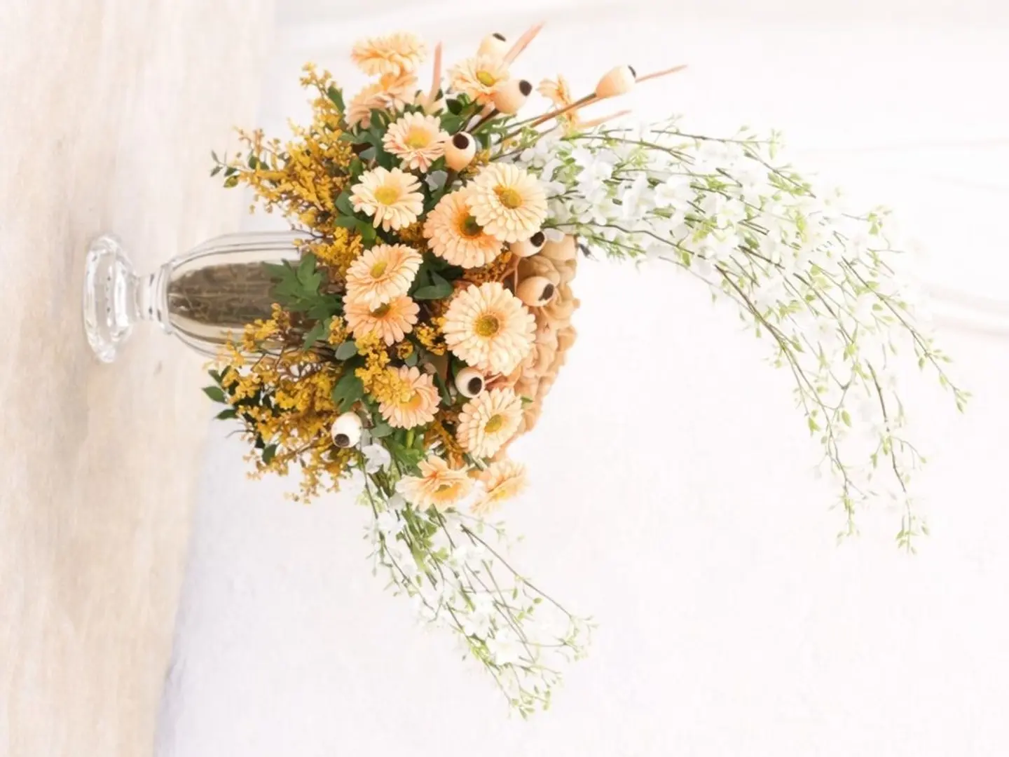 فازة الجروبيرا