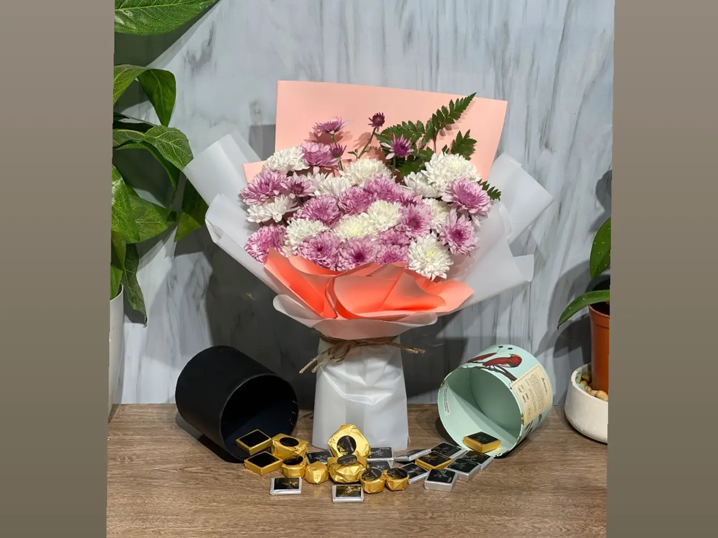 باقة باتشي 5