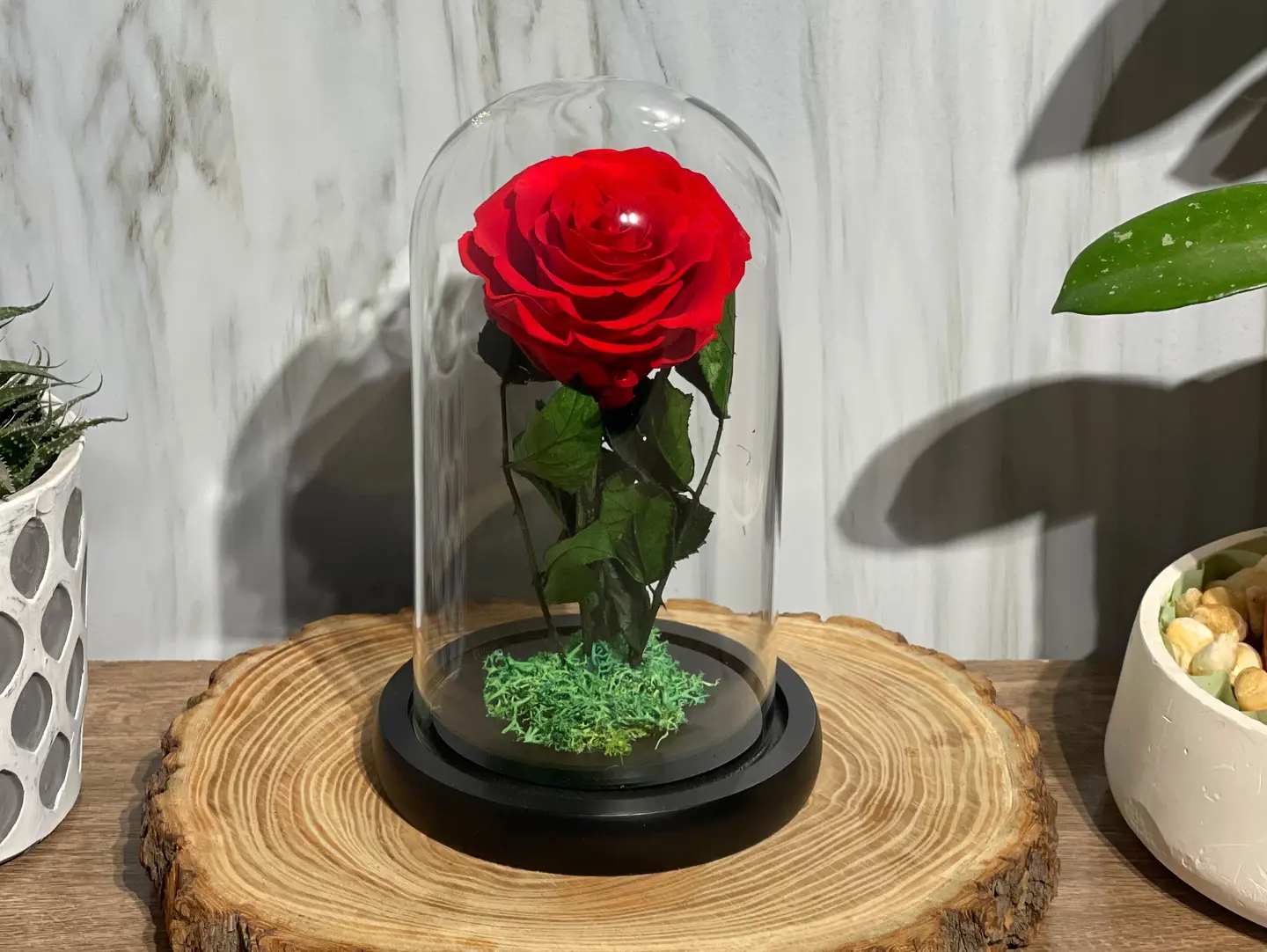 The Evergreen Rose Vase Is Red