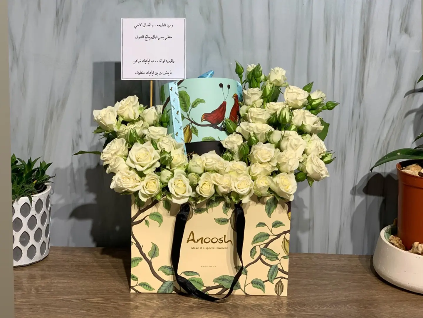 تنسيق انوش 2
