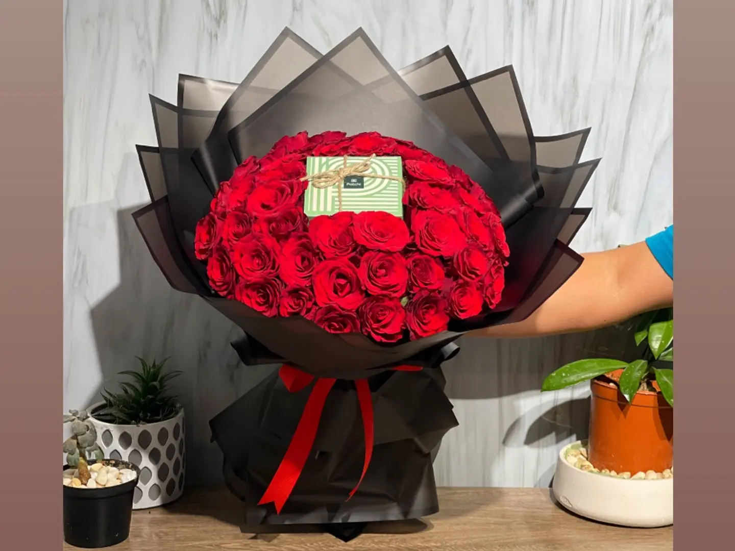 باقة الباتشي 1