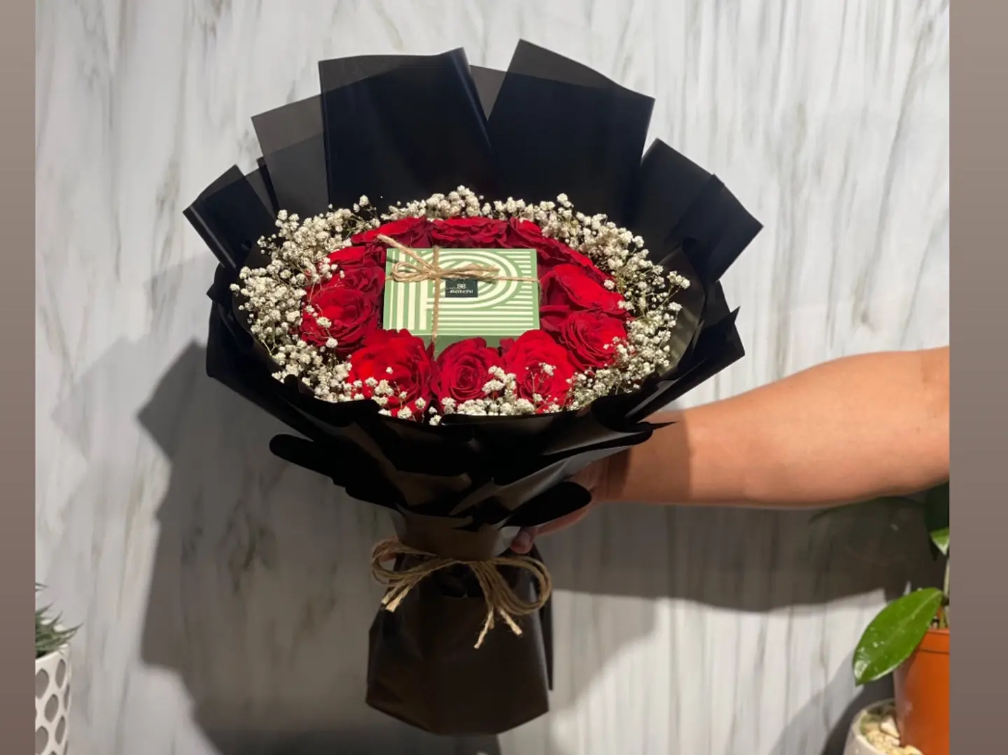 باقة الباتشي 2