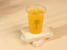 باشن فروت
