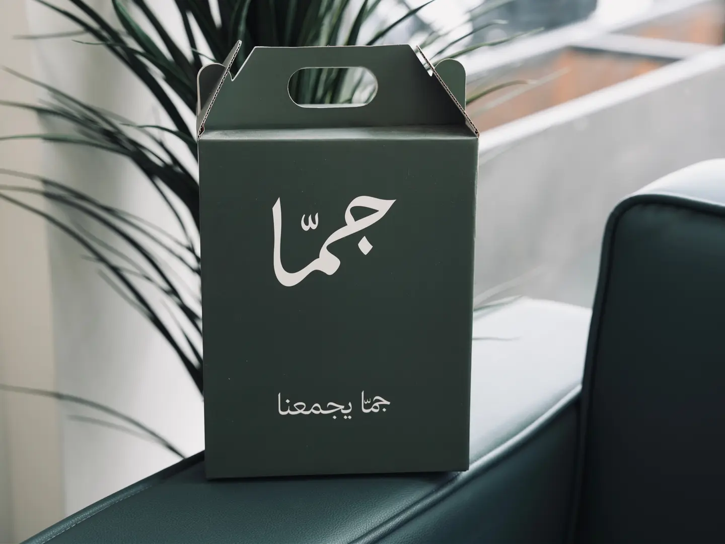 بوكس كوستاريكي